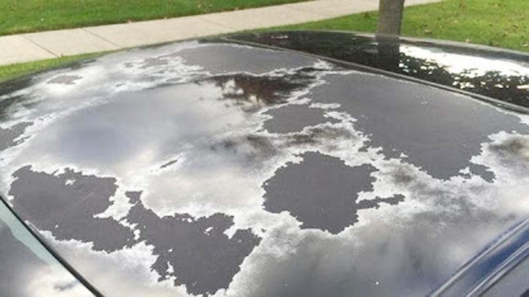 How to Fix Clear Coat Peeling on Hood