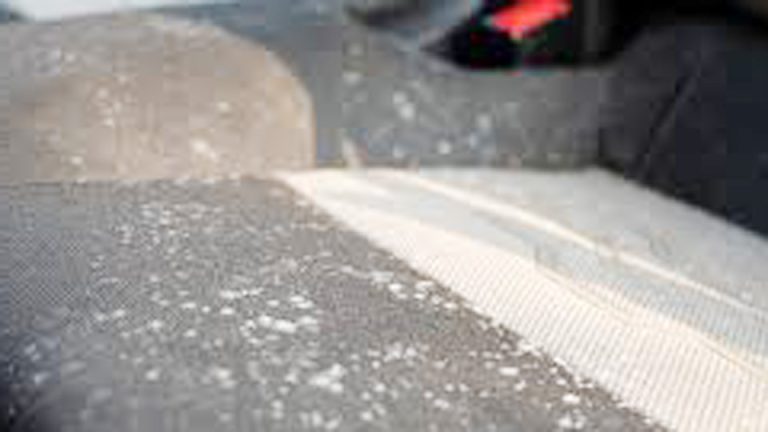 How to Stop Car Interior Going Mouldy?